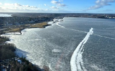 Les élèves de terminale STAV ont voyagé jusqu&rsquo;à Tampere