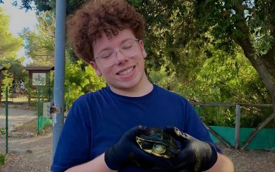 En Italie avec WWF pour sauver les tortues !